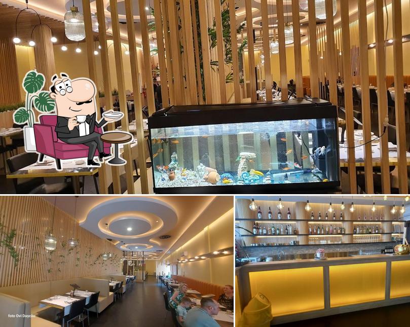 Dai un'occhiata agli interni di SUSHI ZY RISTORANTE GIAPPONESE GRIGLIA CINESE