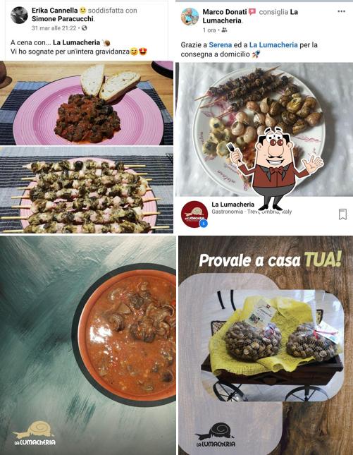 La lumacheria