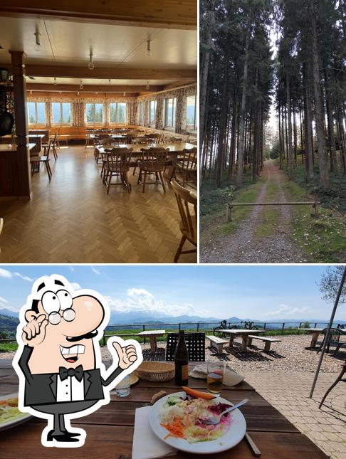 Gli interni di Hohe Buche