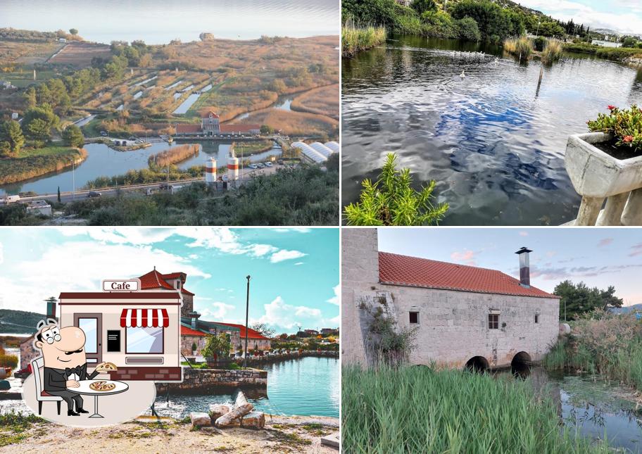 Gli esterni di Mlinice Pantan