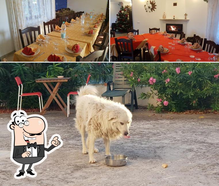Dai un'occhiata agli interni di Agriturismo Dal Piccolo Principe