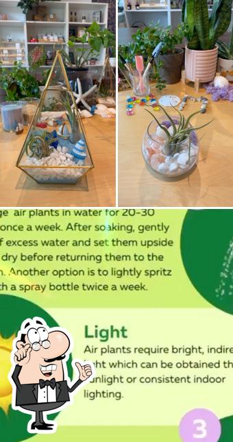 Gli interni di plant