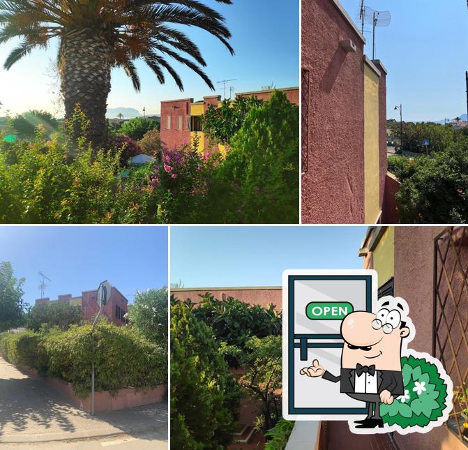 Curiosa tra l'area esterna di Hotel Abbaruja - Vicino al mare