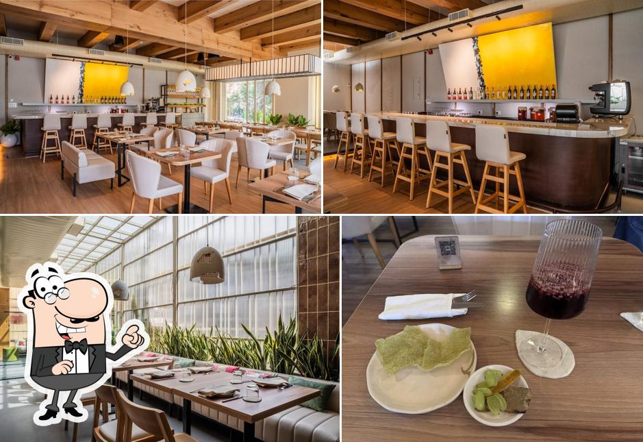 Canvas V Plant Fwd Kitchen+Bar