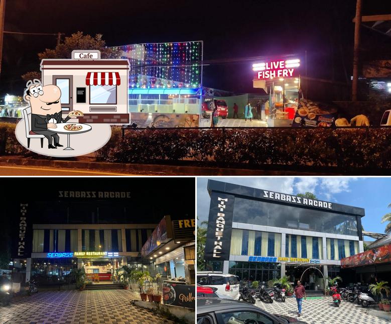 Check out how Seabass looks outside