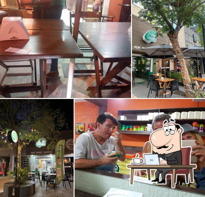 Frutos de Goiás Macaé