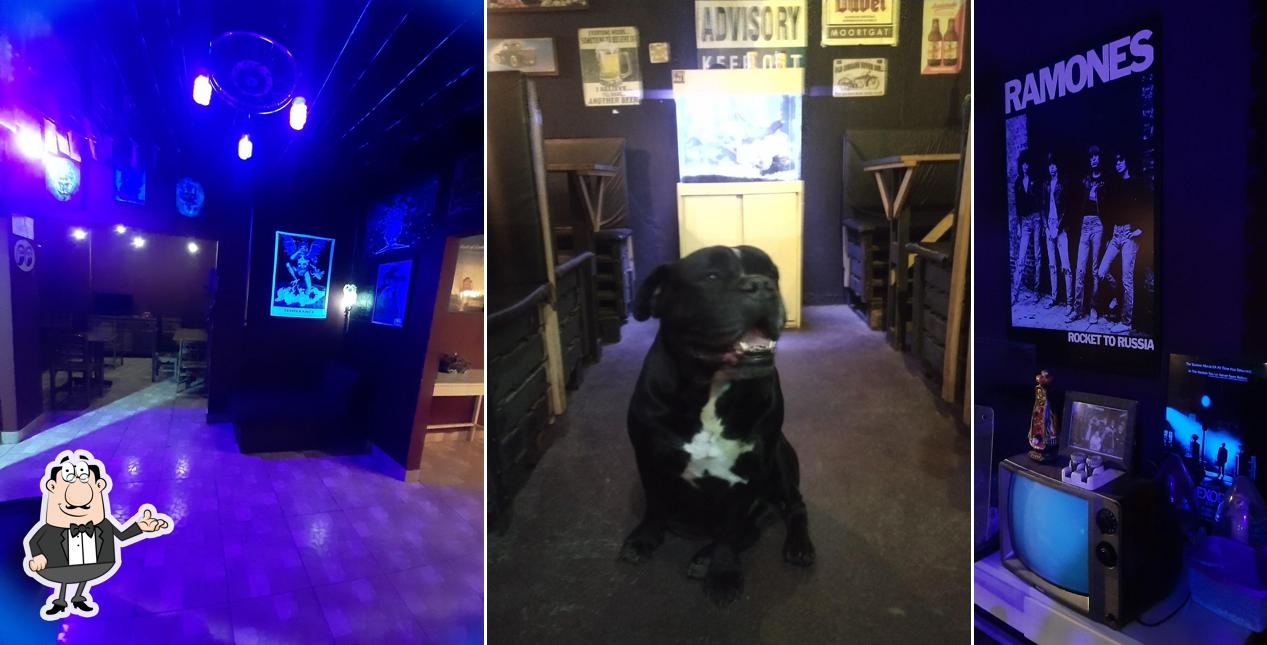 Veja imagens do interior do Junkyard Beer Club