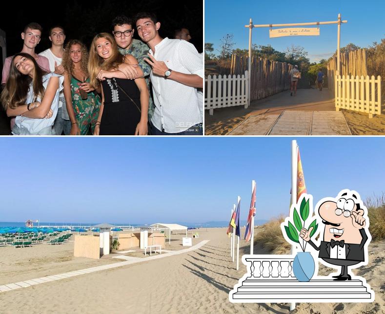 Puoi goderti l'aria fresca da seduto all'esterno di Delfinus Beach Bar