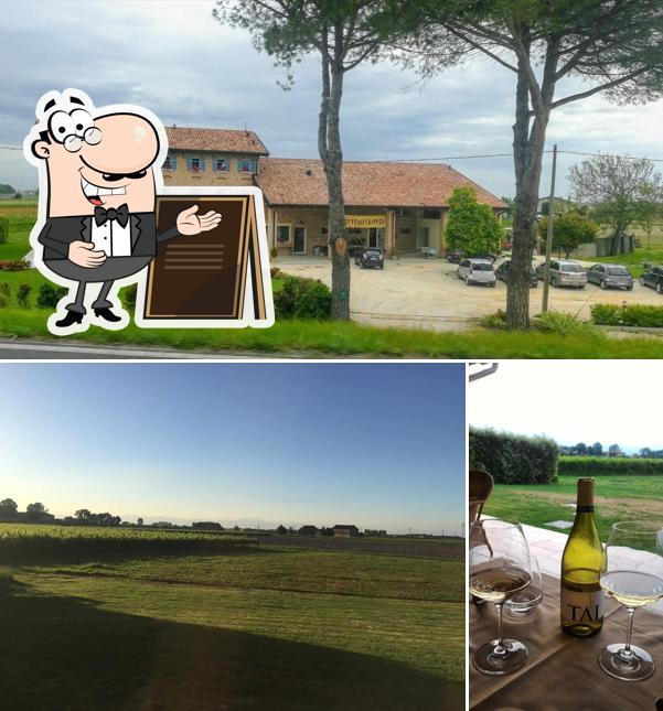 La foto di esterno e alcol da Agriturismo Coda di Gatto