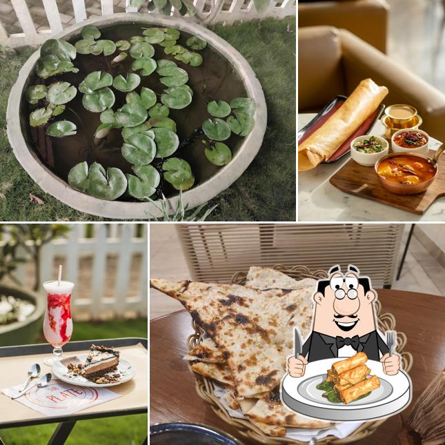 Spring rolls at The Plate Restaurant & More