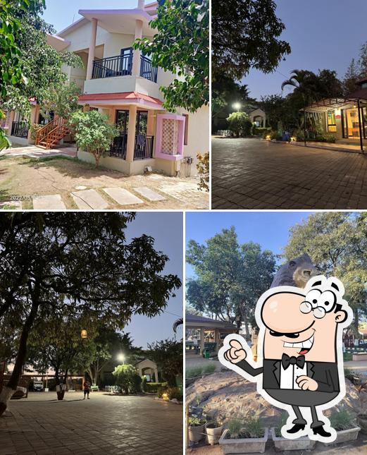 You can get some fresh air at the outside area of Gir lion's cub