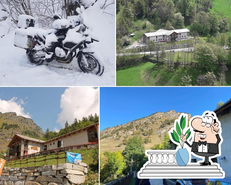 Curiosa tra gli esterni di Rifugio