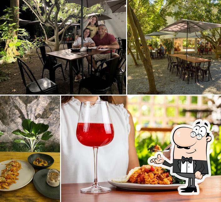 Arbô Café Botânico