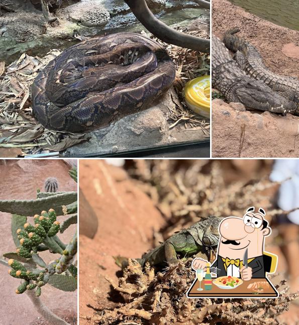 Crocoparc