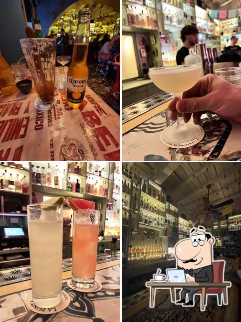 Dai un'occhiata agli interni di La Punta Expendio de Agave