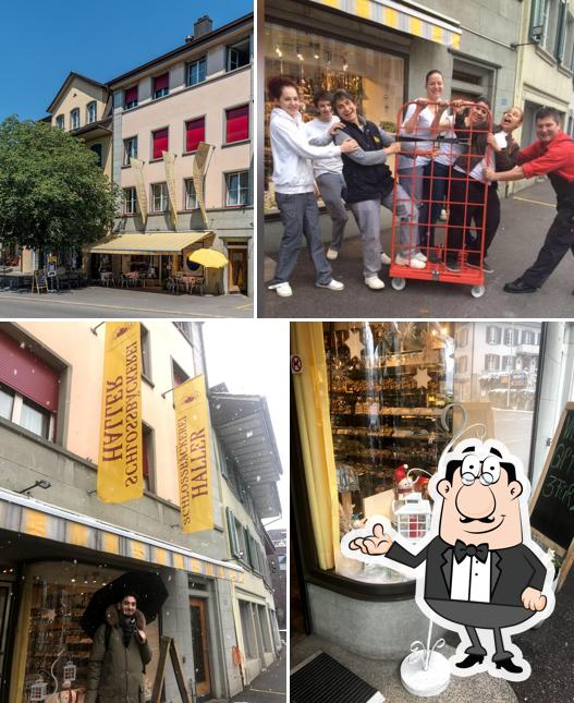 Gli interni di Haller