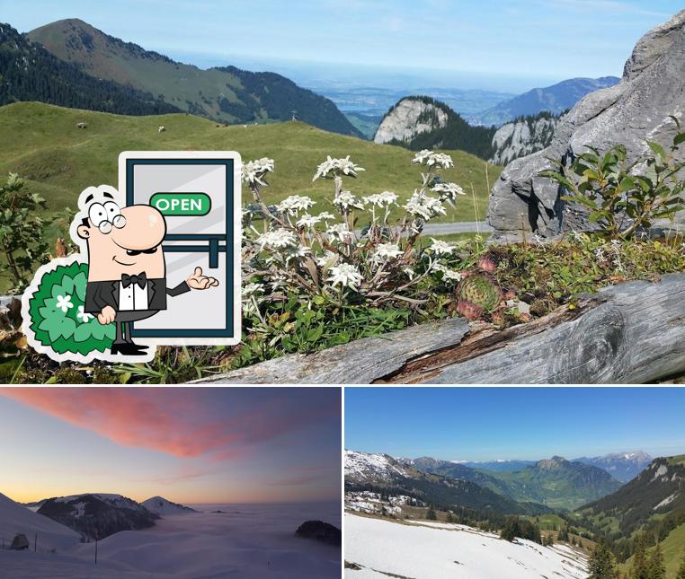 Curiosa tra la parte esterna di Tipi