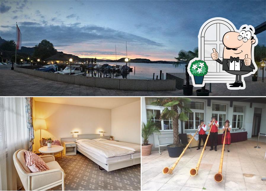 Guarda gli esterni di Hotel Winkelried