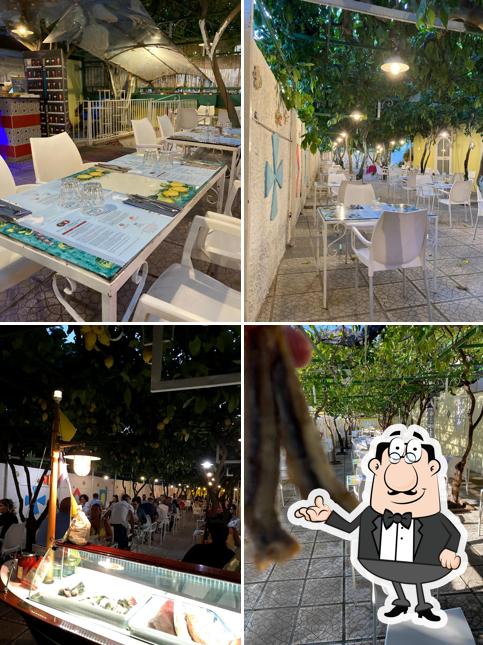 Gli interni di Pineta 1903, Ristorante con Pastificio Artigianale L’Autentica Cucina di Mare della Costiera Amalfitana
