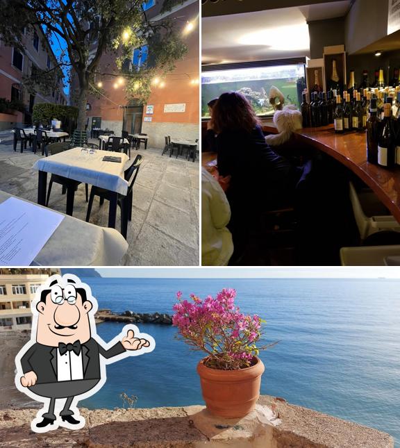 Questa è la foto che presenta la interni e cibo di Mellow Yellow