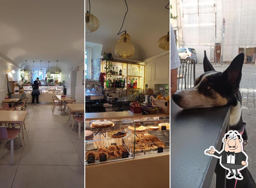 Dai un'occhiata agli interni di Friends Caffè