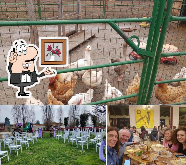 Dai un'occhiata agli interni di Tenuta Bramasole