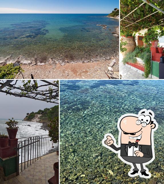 Curiosa tra l'area esterna di Pensione Zio Attilio