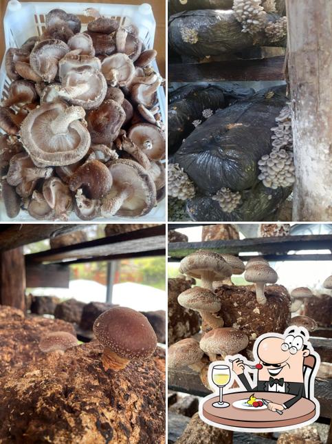 Comida em Suzana Shiitake