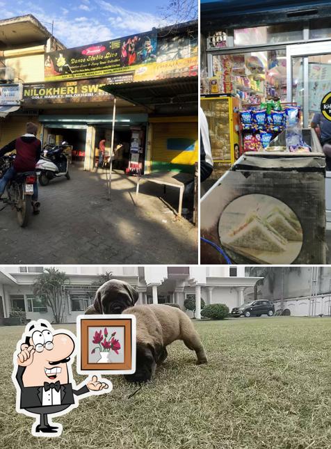 Old Khurana Bakery is distinguished by interior and exterior