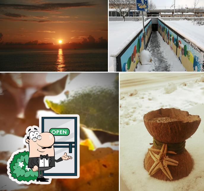 Tabaccheria 20 Bar Castellucci Gian Maria