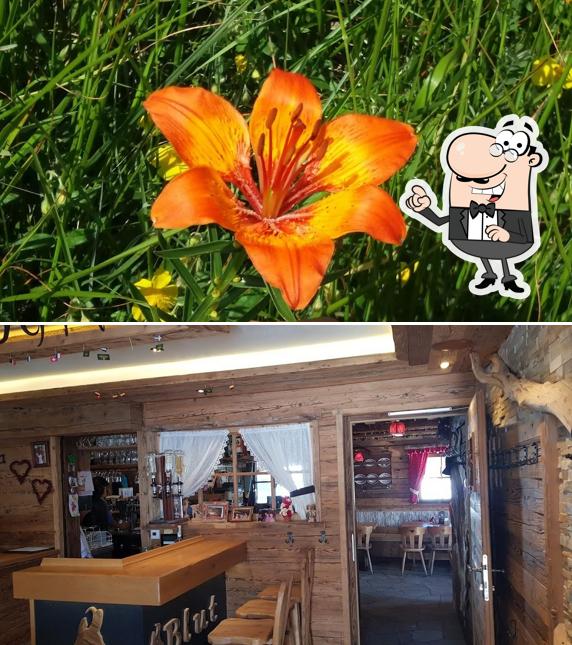 Dai un'occhiata agli interni di Baita Gamsblut Hütte