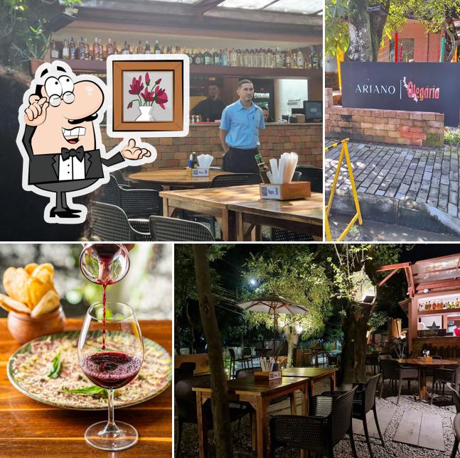 Veja imagens do interior do Olegária Cozinha Informal