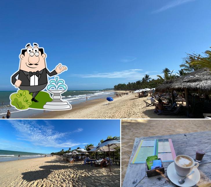 Esta é a foto apresentando exterior e bebida no UXUA Praia Bar