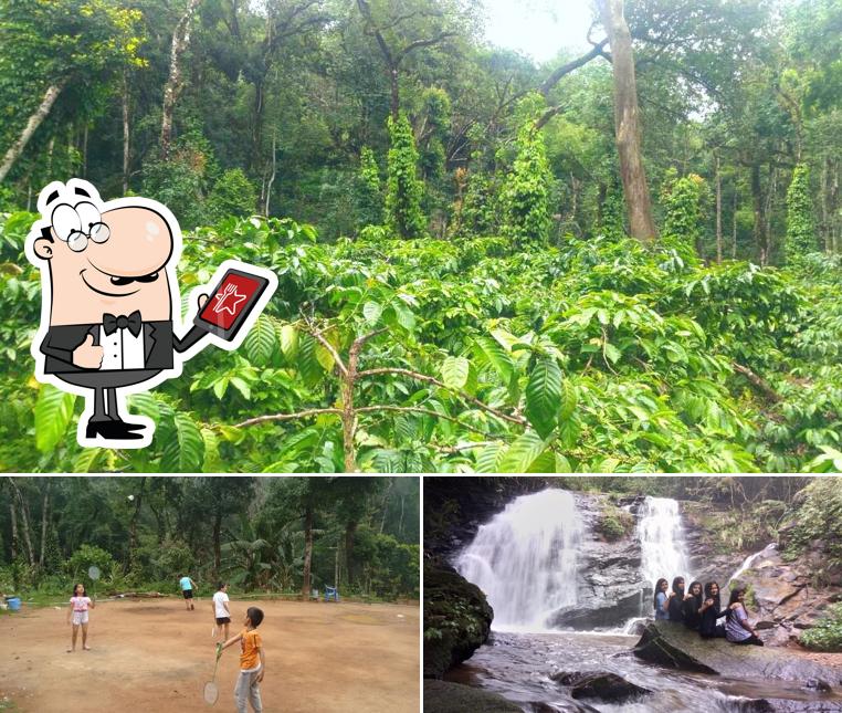 Check out how Secret Meadow Homestay Coorg looks outside