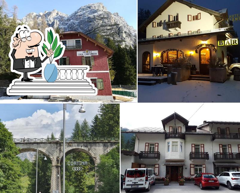 Curiosa tra gli esterni di Hotel Fiames S.R.L. 1 stella
