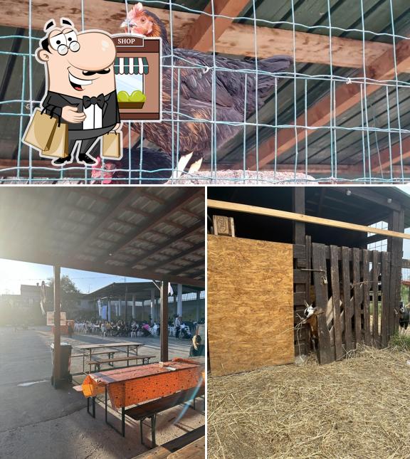 Gli esterni di Cascina Carlotta: Grigliate, Cerimonie, Aperitivi, Eventi aziendali & Vendita Diretta km0