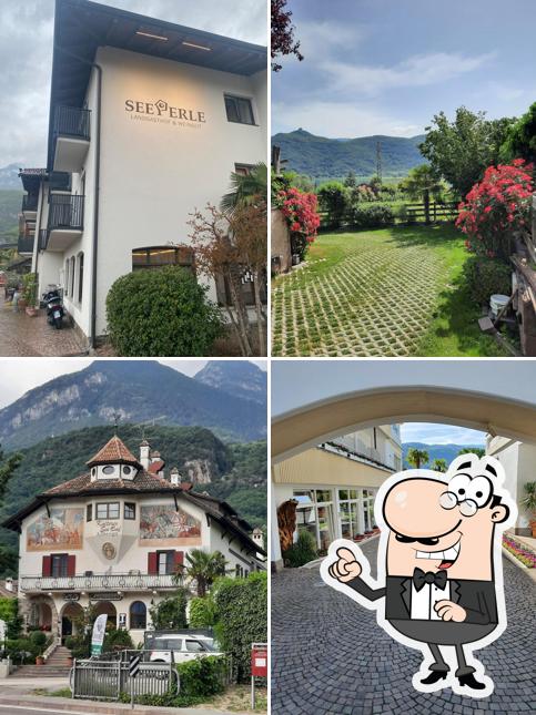 Curiosa tra la parte esterna di Ristorante Seeperle