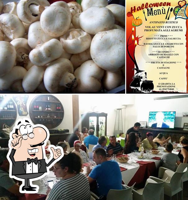 Dai un'occhiata agli interni di Magic Lime Cafè / Restaurant La VELA