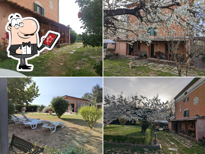 Guarda la parte esterna di DIMORA MARELLA Patrica - Frosinone