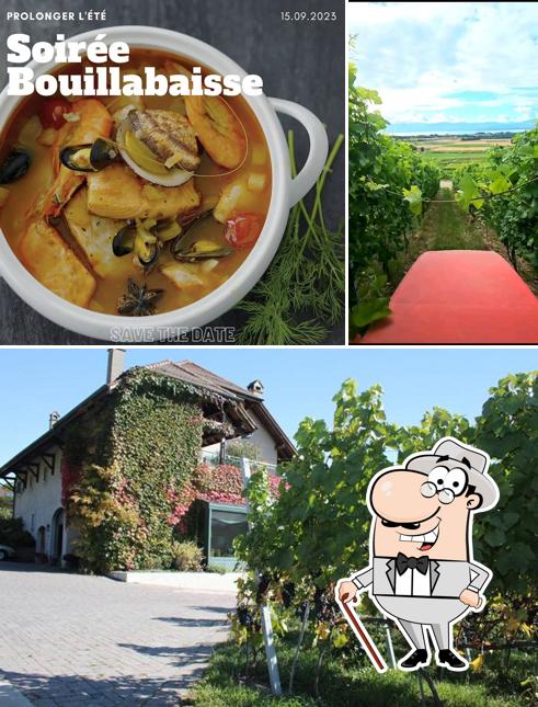 Tra le varie cose da Oenothèque Bar Lounge Cave Beetschen si possono trovare la esterno e cibo