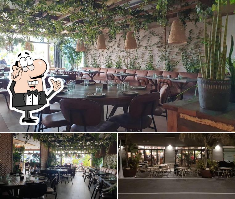 Dai un'occhiata agli interni di Palosanto