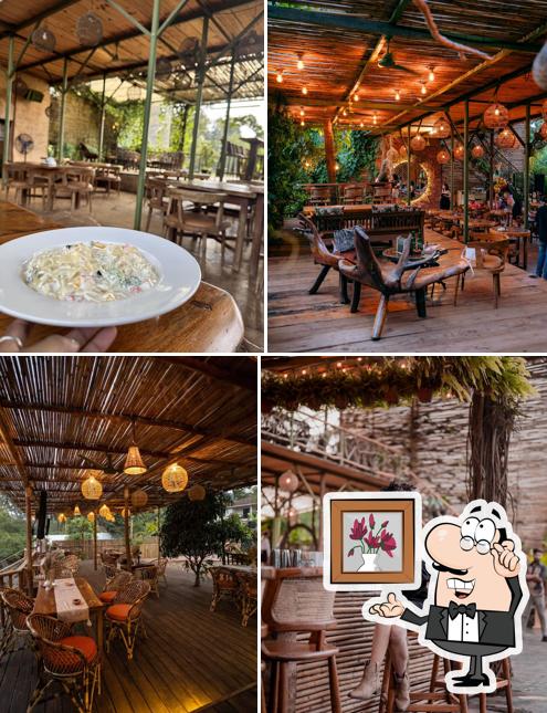 Check out how Oh LaLa looks inside