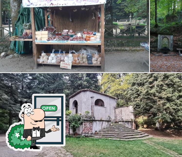 Goditi la vista dagli esterni di B&B Il Laghetto