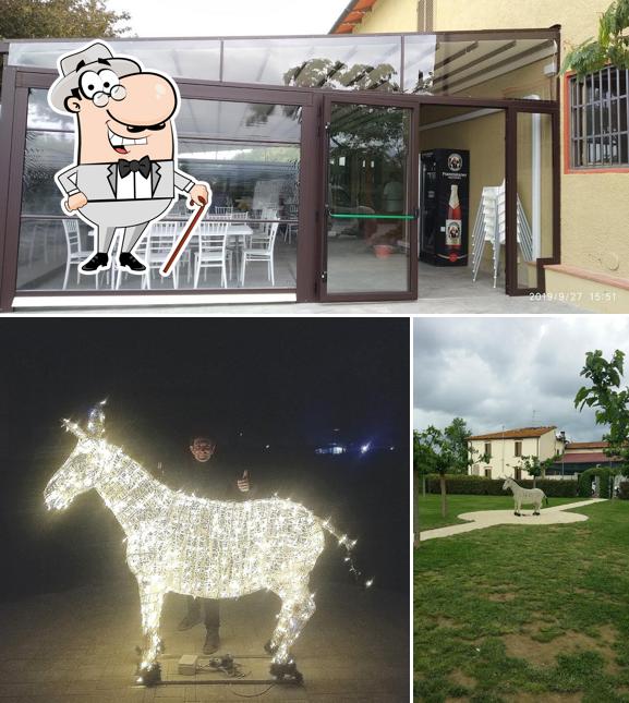 Guarda la parte esterna di Agriturismo Il Mulo