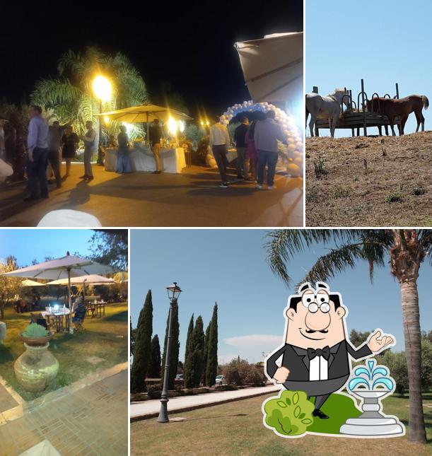 Guarda gli esterni di Resort La Cascina