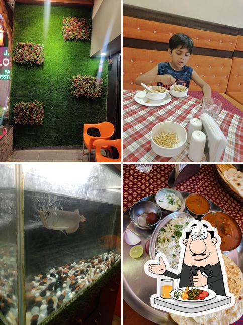 Meals at Janvi Restaurant and Lodge