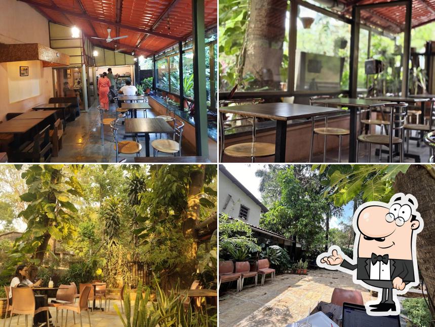 Check out how Coffee Tree looks inside