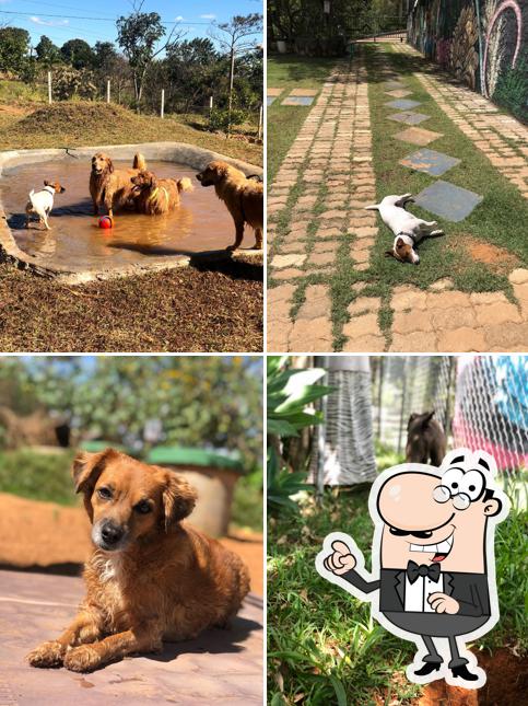 O exterior do DOGIN CLUB