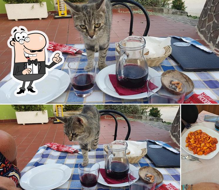 Gli interni di Ristorante Pizzeria La Terrazza