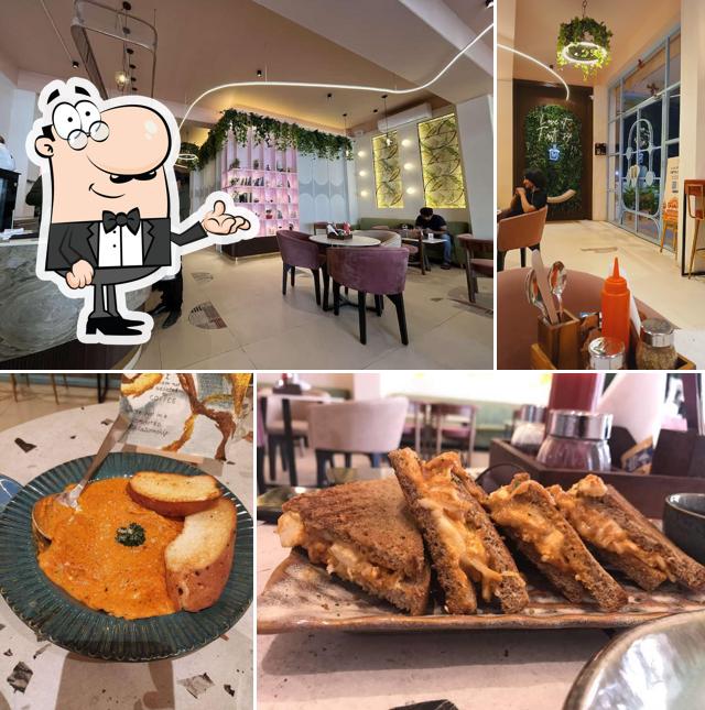 Love over coffee vidhyadhar nagar